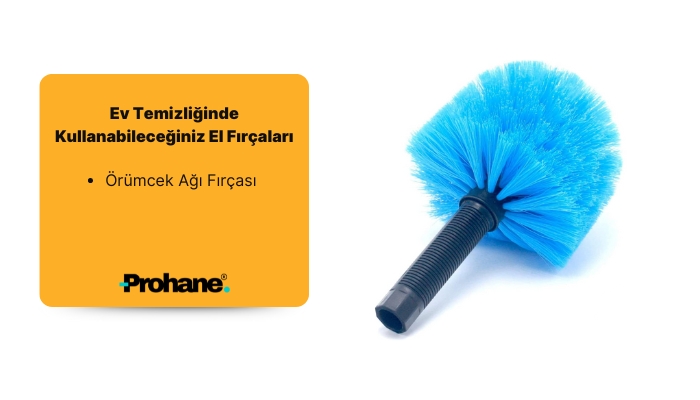 Örümcek Ağı Fırçası
